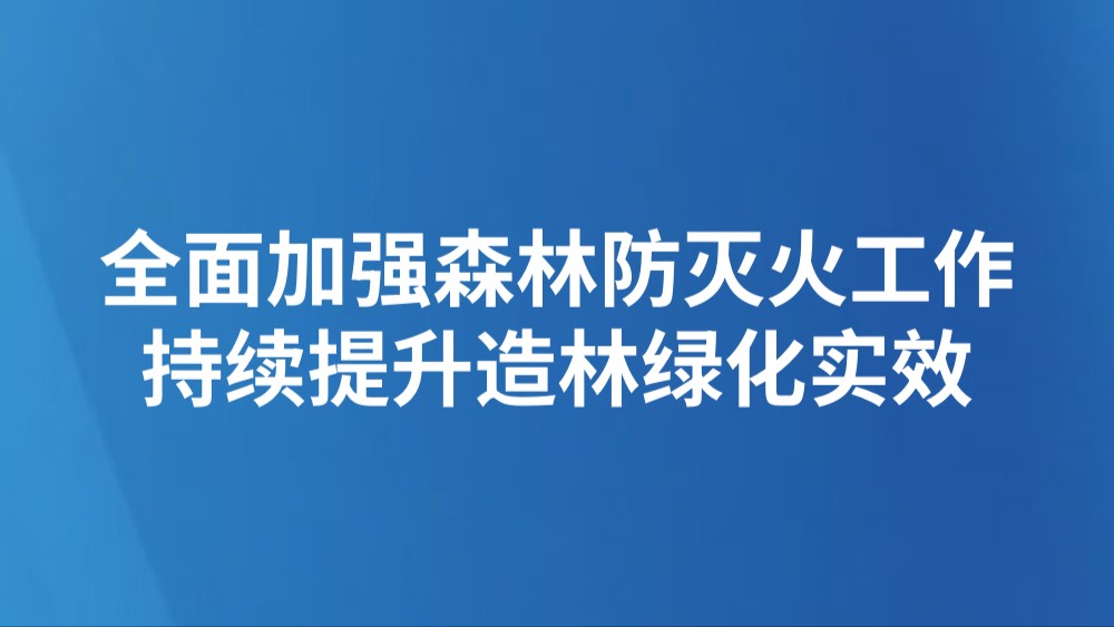 全面加强森林防灭火工作 持续提升造林绿化实效