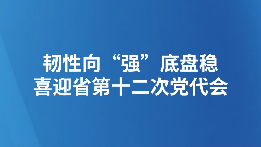 韧性向“强”底盘稳（喜迎省第十二次党代会）