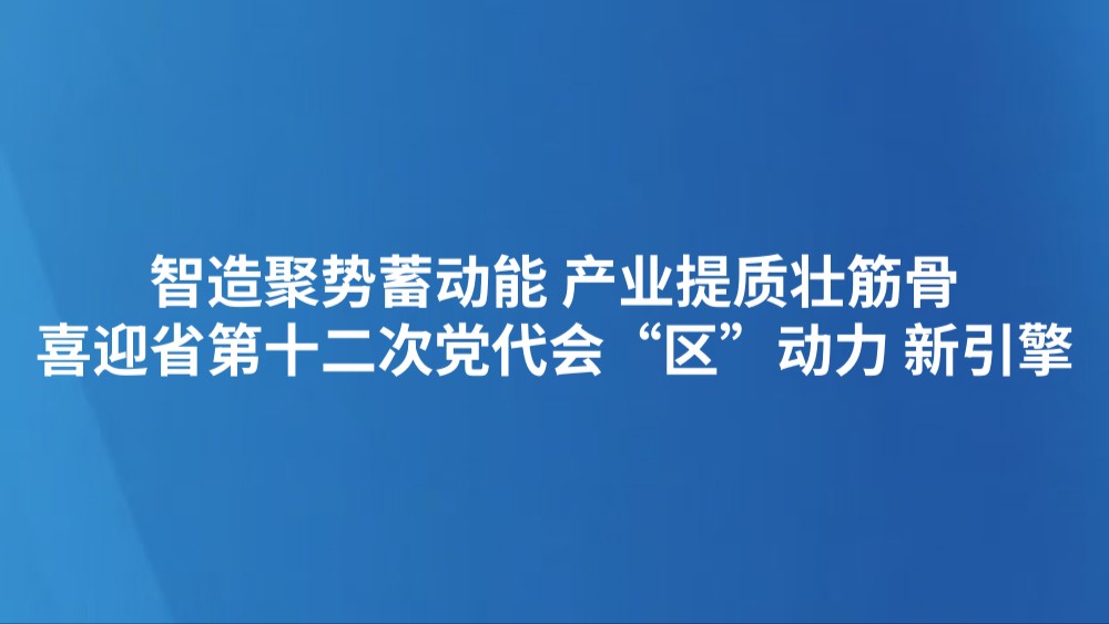 智造聚势蓄动能 产业提质壮筋骨（喜迎省第十二次党代会 “区”动力 新引擎）