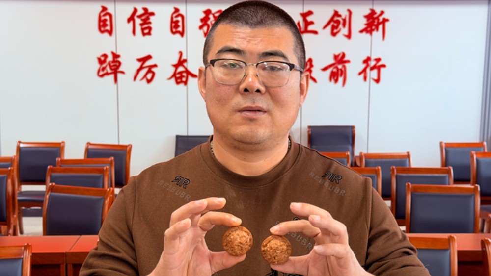 保定涞水：小核桃“打擂” 大产业“提质”