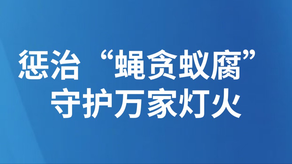 惩治“蝇贪蚁腐” 守护万家灯火