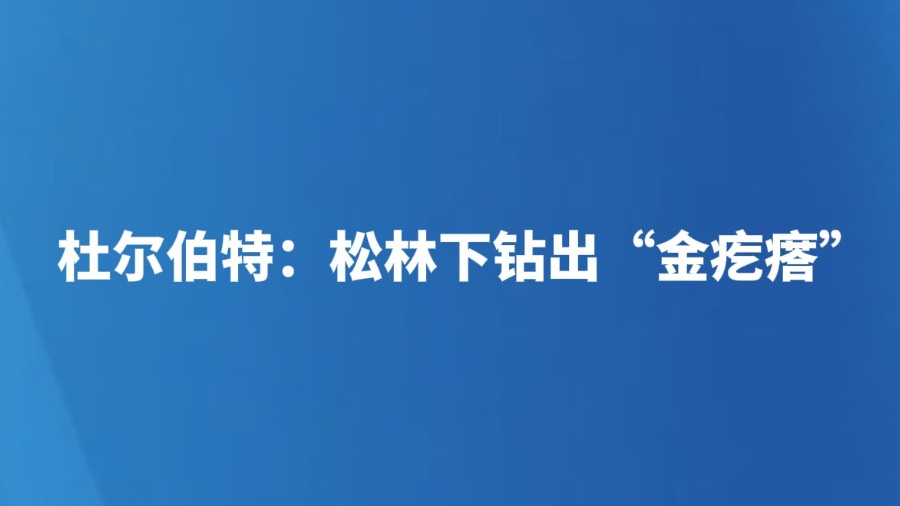 杜尔伯特：松林下钻出“金疙瘩”