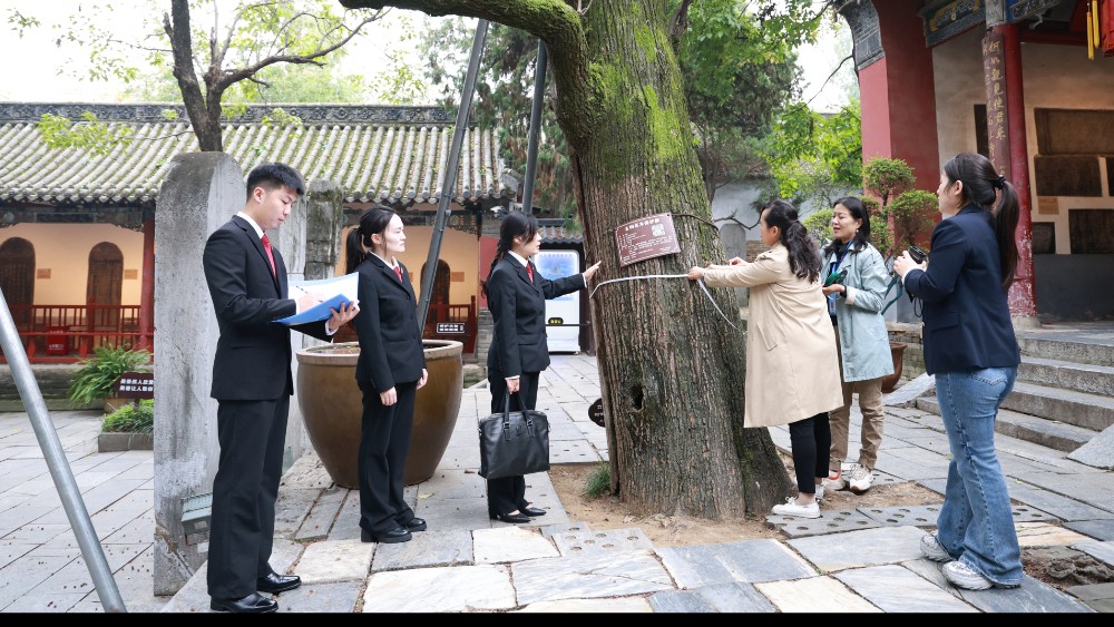 司法护古木 巡护守遗存——河南省南阳市卧龙区法院开展武侯祠古树巡护行动