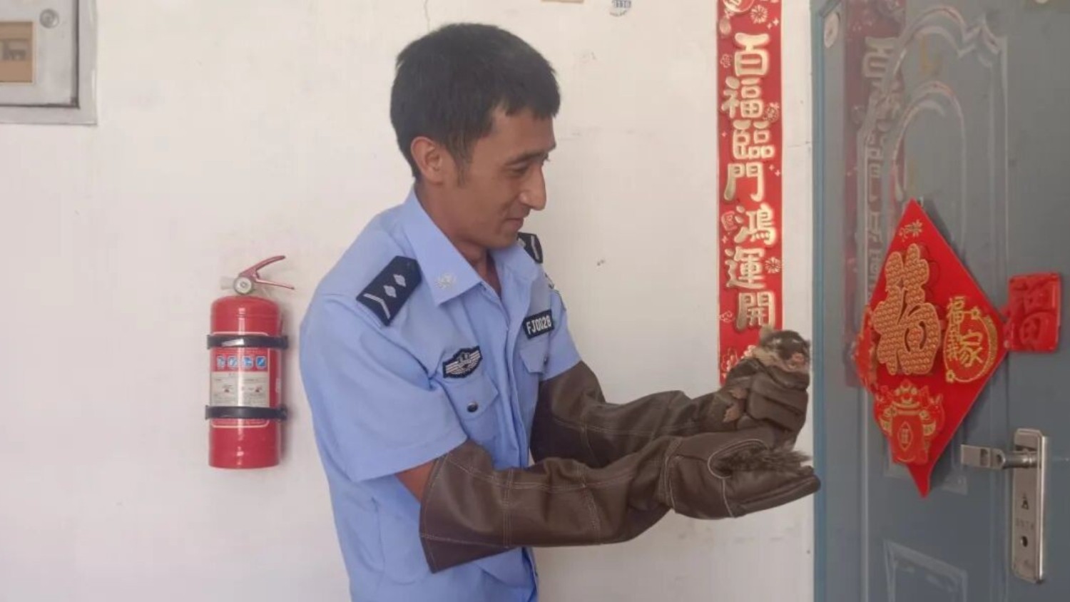 “三有”贵客闯进居民区，民警：安排！
