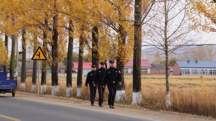 省林区公安局林口分局：稻浪里的“警察蓝” 护航秋收“颗粒归仓”