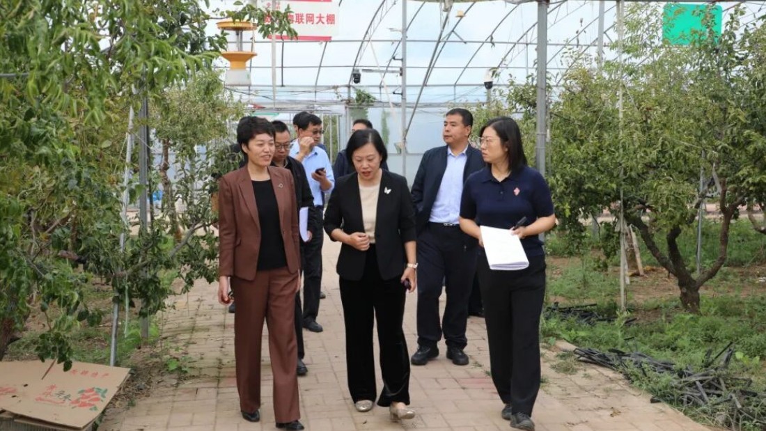 省农业农村厅农产品质量安全监管处副处长韩璐一行到下洼镇调研