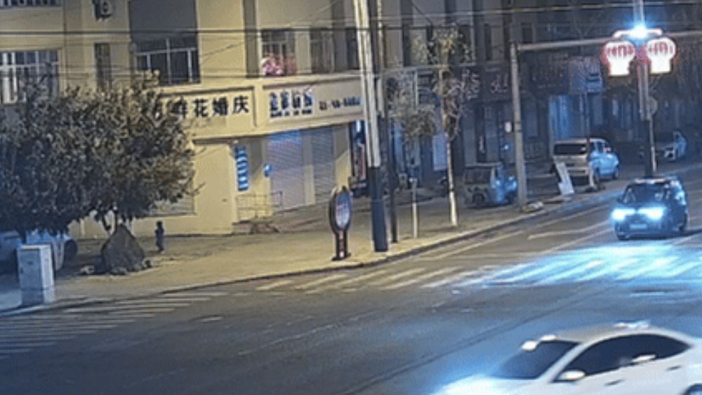 千钧一发！幼童跑入车辆盲区 勃利辅警王立海飞身抱回