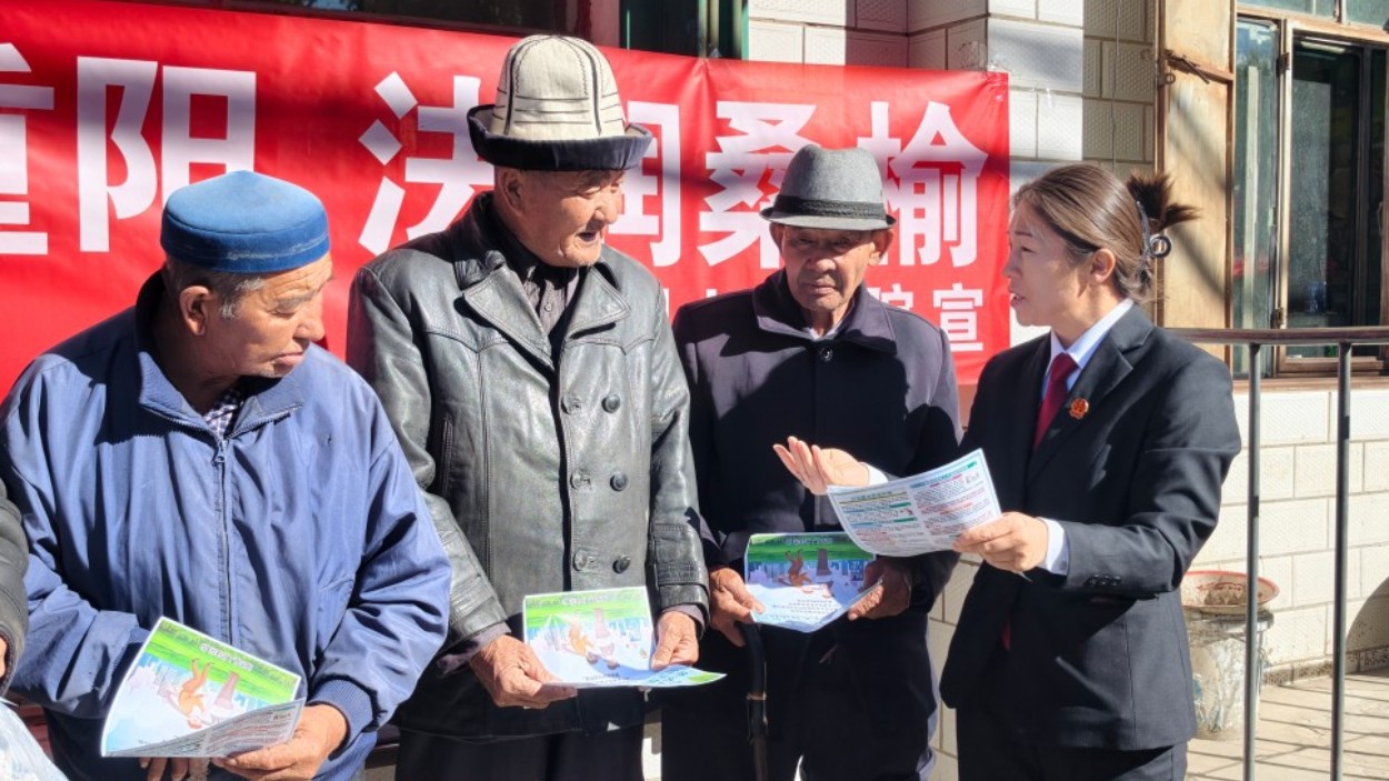 新疆昭苏县人民法院开展“法护银发”重阳节普法宣传活动