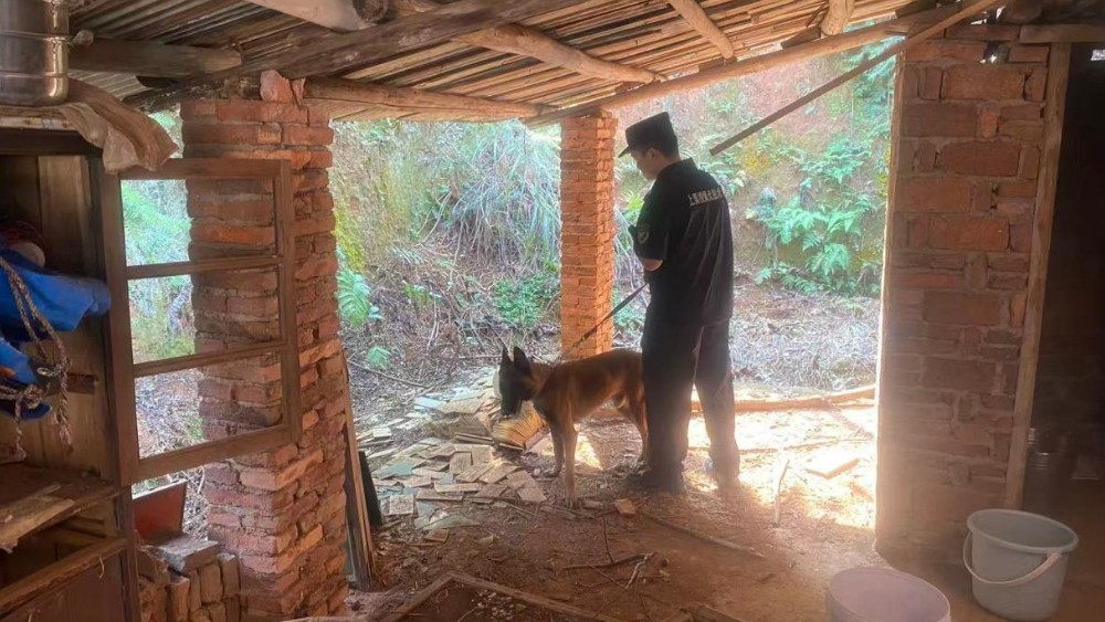 萍乡上栗：搜爆犬助力 精准排查非法储存烟花爆竹隐患