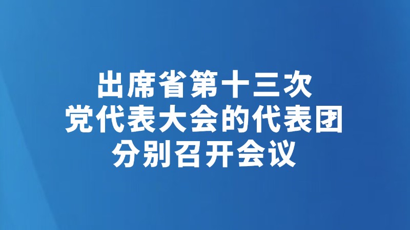 出席省第十三次党代表大会的代表团分别召开会议