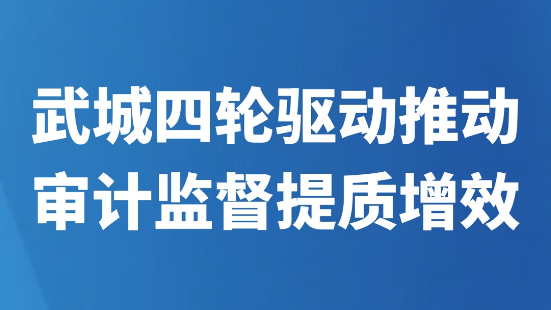 武城四轮驱动推动审计监督提质增效