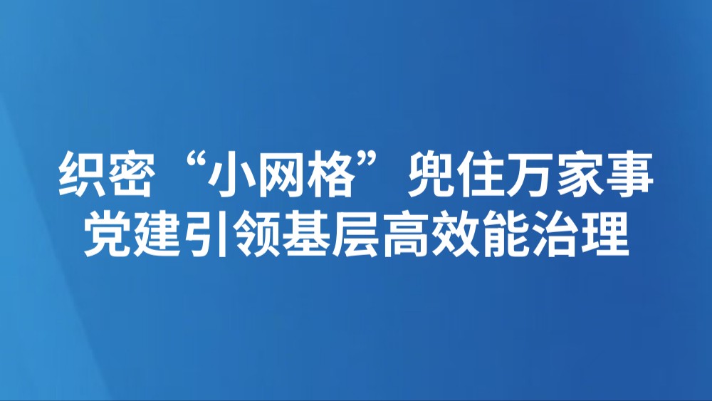 织密“小网格”兜住万家事 党建引领基层高效能治理