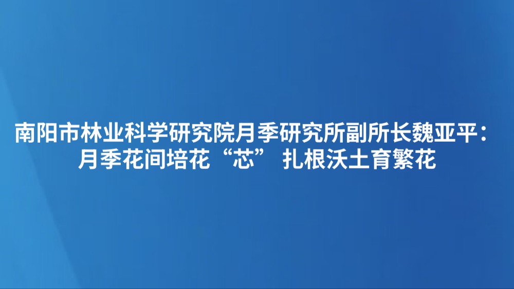 南阳市林业科学研究院月季研究所副所长魏亚平：月季花间培花“芯” 扎根沃土育繁花