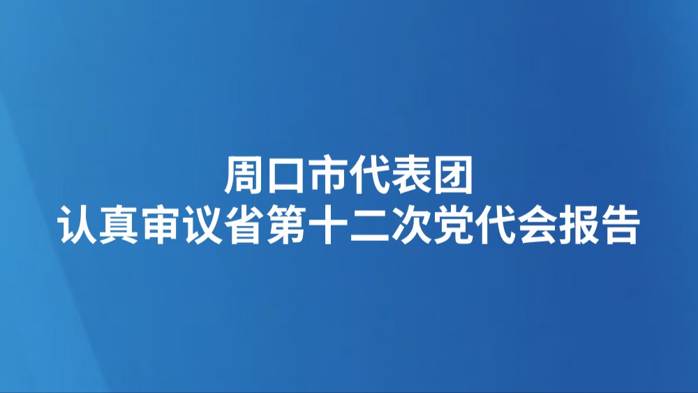 周口市代表团认真审议省第十二次党代会报告