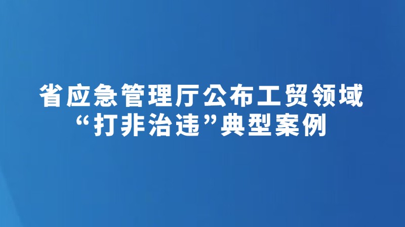 省应急管理厅公布工贸领域“打非治违”典型案例