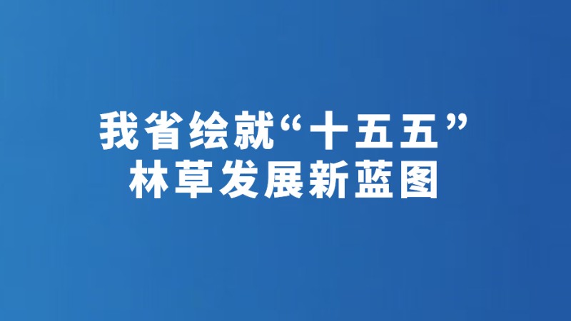 我省绘就“十五五”林草发展新蓝图