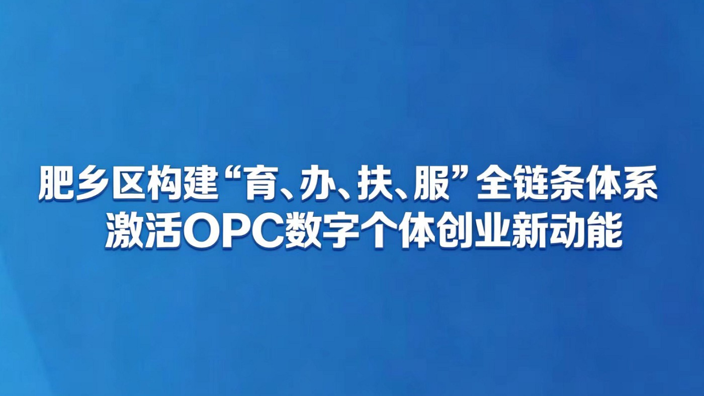 肥乡区构建“育、办、扶、服”全链条体系  激活OPC数字个体创业新动能