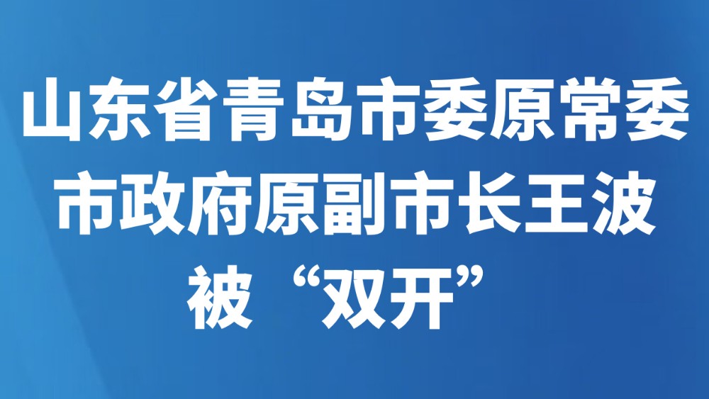 山东省青岛市委原常委、市政府原副市长王波被“双开”