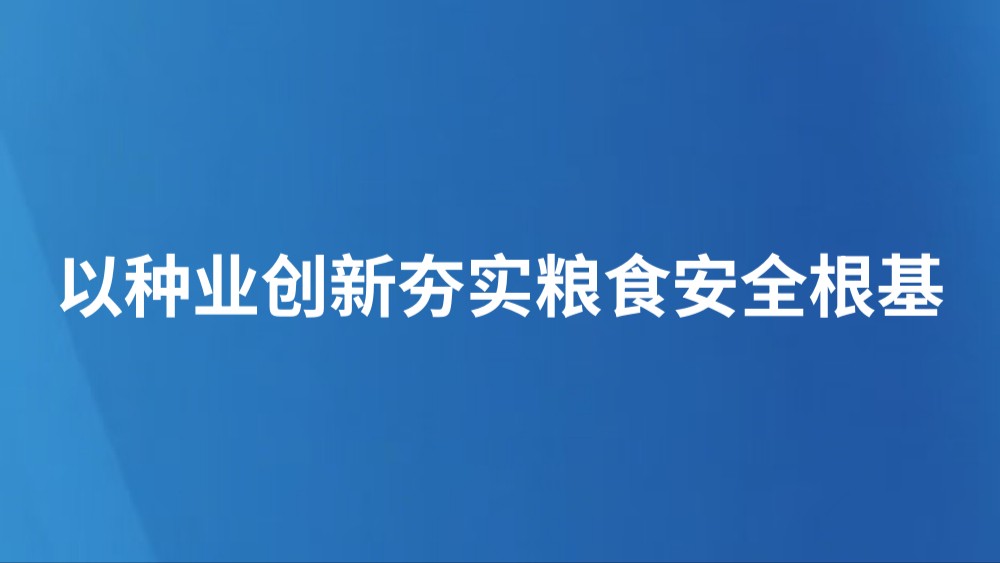以种业创新夯实粮食安全根基