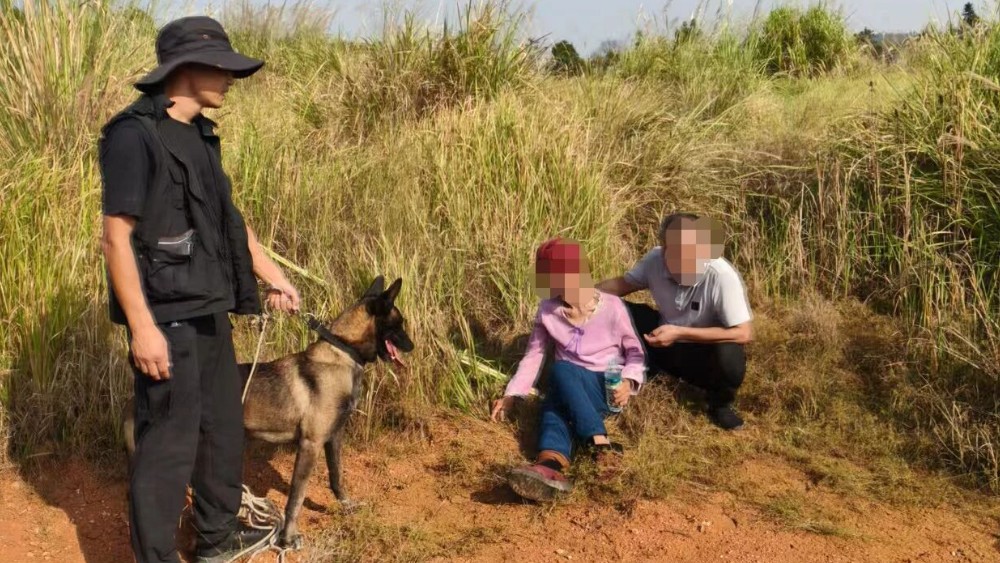 新余渝水：下村老人走失50小时，警犬助力成功找回