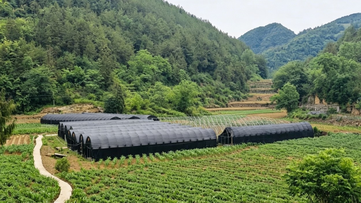 深耕硒土育良药 党建赋能兴乡业