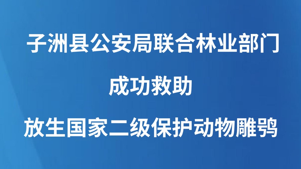 子洲县公安局联合林业部门成功救助放生国家二级保护动物雕鸮