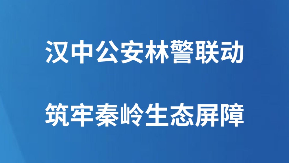 汉中公安林警联动筑牢秦岭生态屏障