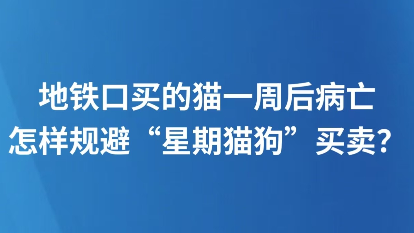 地铁口买的猫一周后病亡，怎样规避“星期猫狗”买卖？