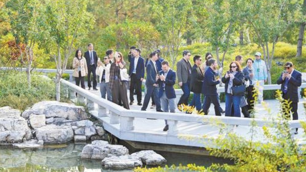 “这里的城市生态建设令人惊喜”