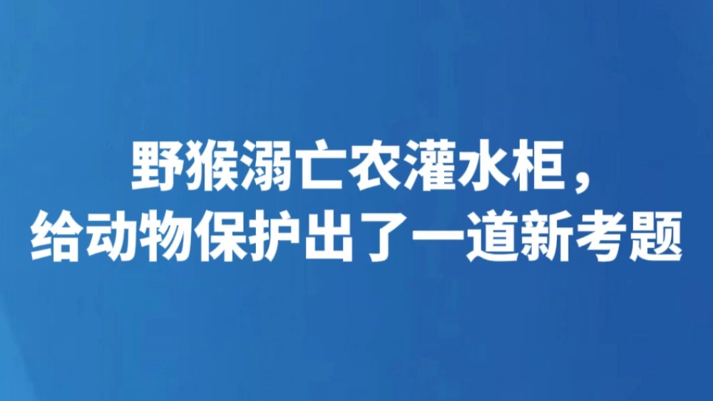 野猴溺亡农灌水柜，给动物保护出了一道新考题