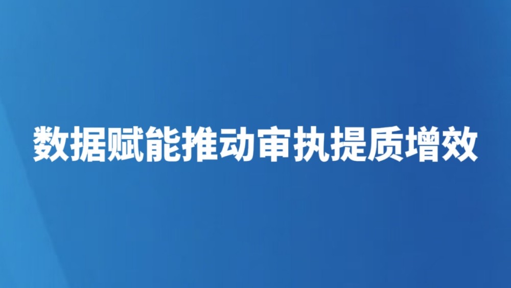 数据赋能推动审执提质增效