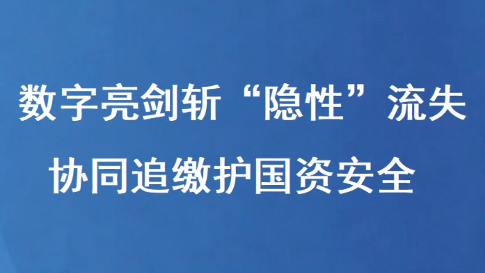数字亮剑斩“隐性”流失 协同追缴护国资安全