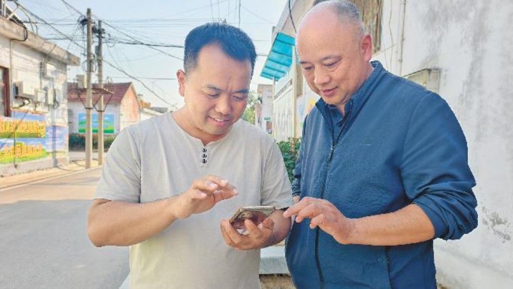 3秒查到小麦补贴，这个村干部“手搓”一套村务系统