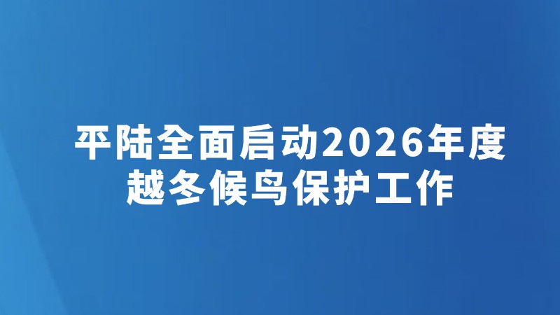 平陆全面启动2026年度越冬候鸟保护工作