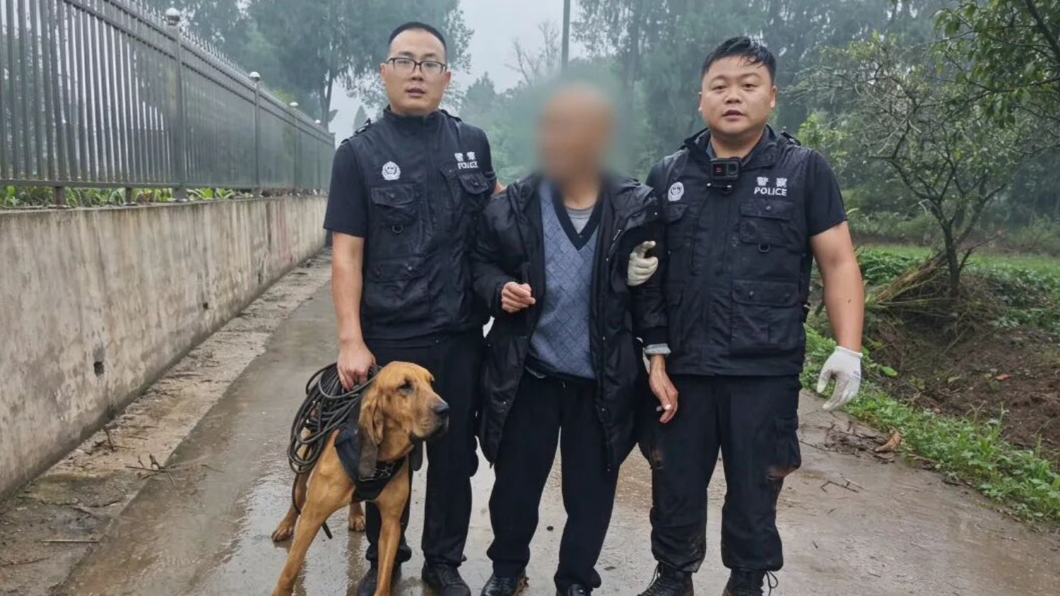 雨夜深山极速寻踪！岳池公安警犬“黑虎”四公里循迹连夜救回走失老人