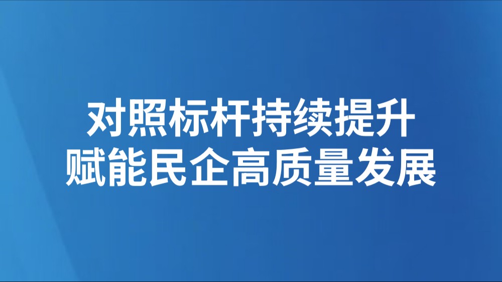 对照标杆持续提升 赋能民企高质量发展