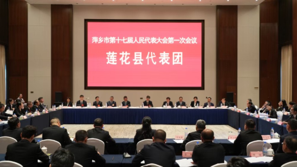 萍乡市莲花县代表团热议市政府工作报告