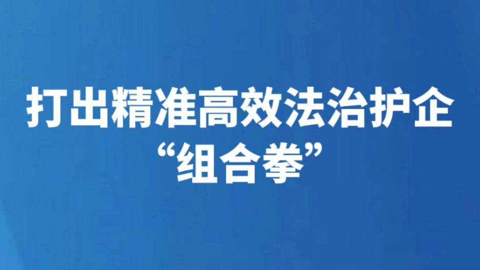 打出精准高效法治护企“组合拳”