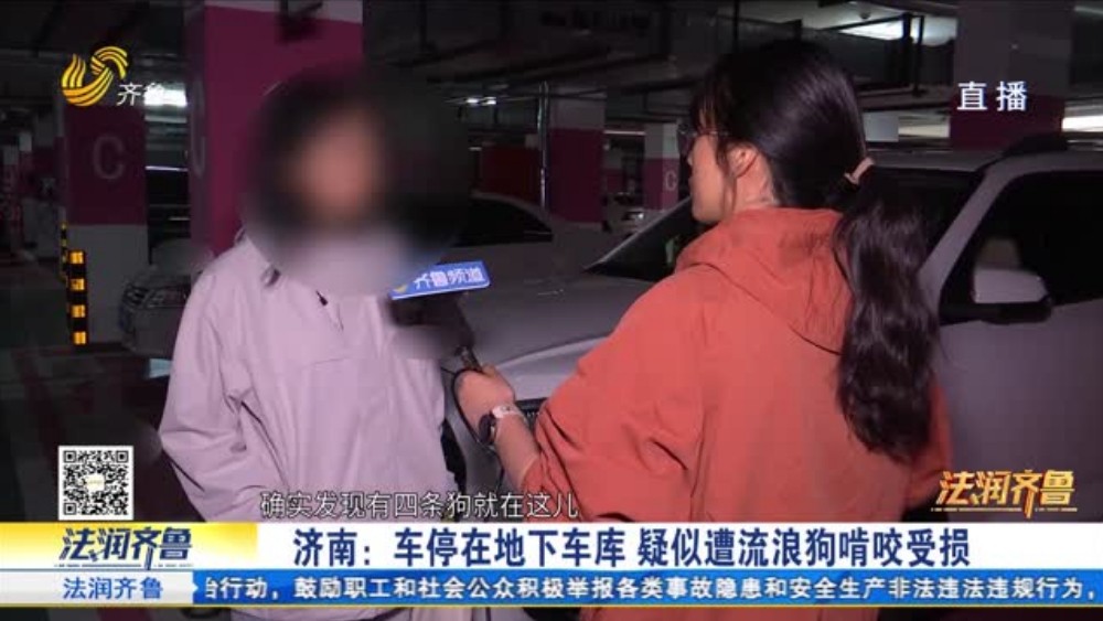 济南：车停在地下车库 疑似遭流浪狗啃咬受损