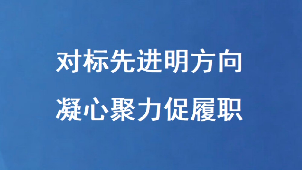 对标先进明方向 凝心聚力促履职