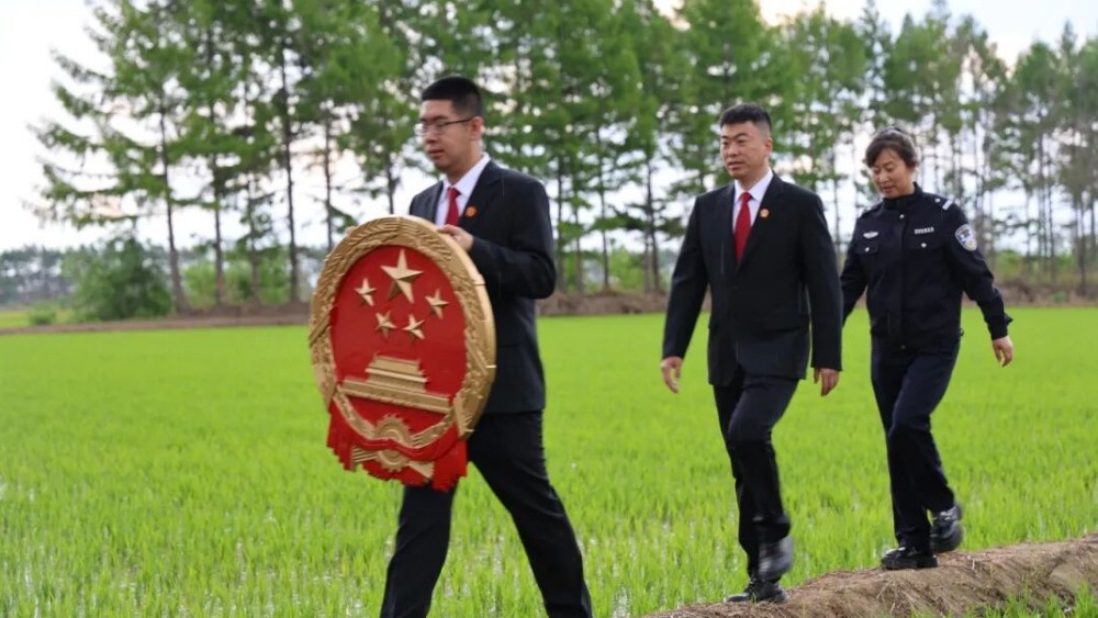 三江平原上的司法答卷