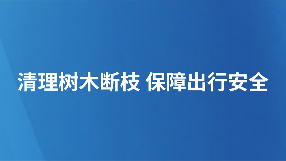 清理树木断枝 保障出行安全