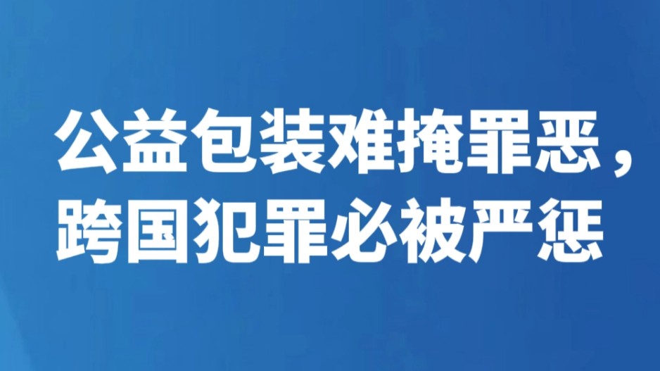 公益包装难掩罪恶，跨国犯罪必被严惩