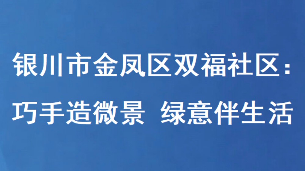 银川市金凤区双福社区：巧手造微景 绿意伴生活