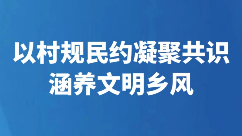 以村规民约凝聚共识涵养文明乡风