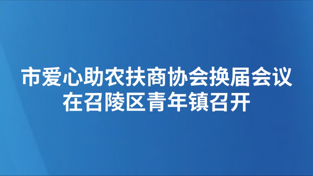 市爱心助农扶商协会换届会议在召陵区青年镇召开