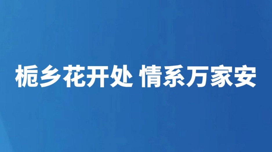 栀乡花开处 情系万家安
