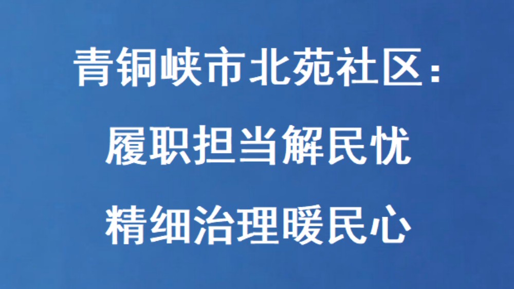 青铜峡市北苑社区：履职担当解民忧 精细治理暖民心