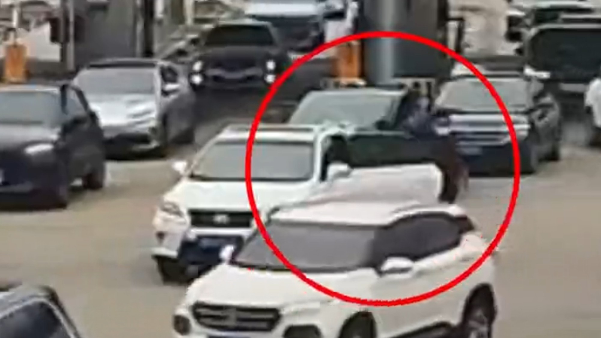 拿美国驾照上中国公路，交警：无证驾驶！