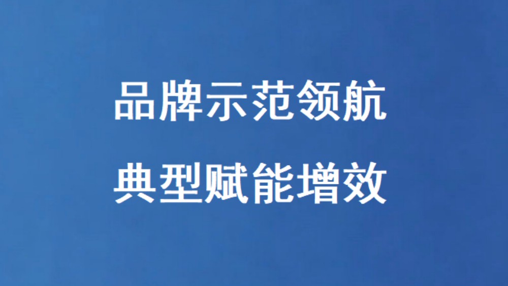 品牌示范领航 典型赋能增效